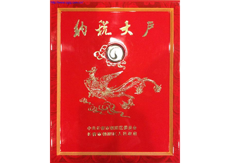 集團榮譽